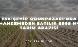 Eskişehir Odunpazarı'nda mahkemeden satılık 8985 m² tarım arazisi