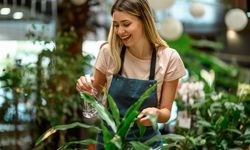 Evde Bakılması Kolay Bitkiler - Bahçe Keyfi İçin İdeal Seçenekler