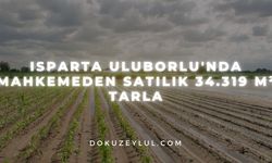 Isparta Uluborlu'nda mahkemeden satılık 34.319 m² tarla
