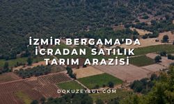 İzmir Bergama'da icradan satılık tarım arazisi