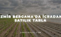 İzmir Bergama'da icradan satılık tarla