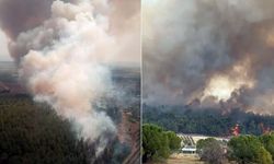 İzmir Gaziemir'de orman yangını