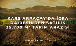 Kars Arpaçay'da İcra dairesinden satılık 35.700 m² tarım arazisi