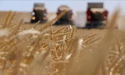 Tarımsal destekler arttı mı? Güncel Buğday Arpa Üzüm destek miktarları 2023
