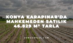 Konya Karapınar'da mahkemeden satılık 46.829 m² tarla