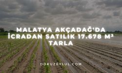 Malatya Akçadağ'da icradan satılık 17.678 m² tarla