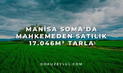 Manisa Soma'da mahkemeden satılık 17.046m² tarla