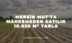 Mersin Mut'ta mahkemeden satılık 10.020 m² tarla