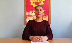 Metal İşçileri Sefalet Ücretine Hayır Diyor: EMEP Kocaeli İl Başkanı Arzu Erkan’dan Açıklama