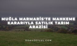 Muğla Marmaris'te mahkeme kararıyla satılık tarım arazisi