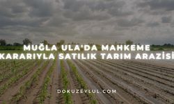 Muğla Ula'da mahkeme kararıyla satılık tarım arazisi