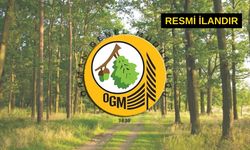 Gaziemir Orman İşletme Müdürlüğü arazi hazırlığı hizmeti alacak