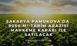 Sakarya Pamukova'da 9050 m² tarım arazisi mahkeme kararı ile satılacak