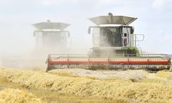 Tarım girdi fiyatlarında rekor artış: Çiftçiler ne yapacak?