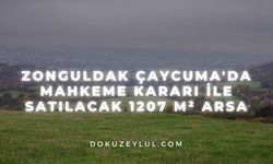 Zonguldak Çaycuma'da mahkeme kararı ile satılacak 1207 m² arsa