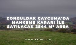 Zonguldak Çaycuma'da mahkeme kararı ile satılacak 2544 m² arsa