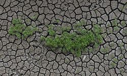 İklim değişikliğine çare tarımda adaptasyon!