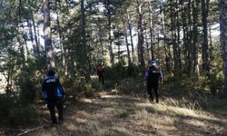 Kütahya'da mantar toplarken ormanda kaybolan kişi Bursa'da bulundu