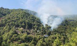 Antalya'da 2 dönüm orman yandı
