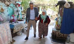 Aydın'da yaşlı çınarlara belediye başkanından doğum günü sürprizi