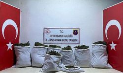Diyarbakır’da 6 noktada uyuşturucu operasyonu:  543 kilo esrar ele geçirildi
