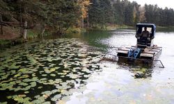 Gölcük Tabiat Parkı'nda göl yüzeyi temizleniyor