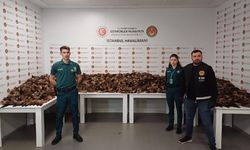 İstanbul Havalimanı'nda 10 bin 300 adet tilki kuyruğu ele geçirildi 