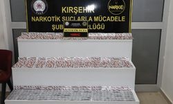 Kırşehir'de uyuşturucu operasyonu: 2 gözaltı
