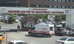 Mardin'de TIR’la önünü kestiği otomobildeki husumetlisini öldürdü