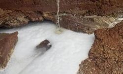 'Yağmur suyu rögarına kimyasal madde boşaltıldı' iddiasına inceleme