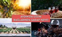 Aydın'da Üzüm Bağlarında Şarap Keyfi