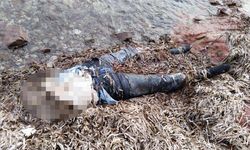 Bodrum'da kadın cesedi bulundu belden yukarısı yok!