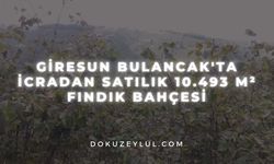 Giresun Bulancak'ta icradan satılık 10.493 m² fındık bahçesi