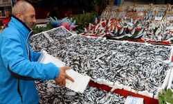 Hamsinin Kilosu 40 Liraya Düştü: Balıkçılar Denizlerin Soğumasını Bekliyor