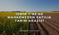 İzmir Tire'de mahkemeden satılık tarım arazisi