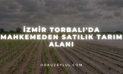 İzmir Torbalı'da mahkemeden satılık tarım alanı