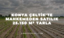 Konya Çeltik'te mahkemeden satılık 25.150 m² tarla