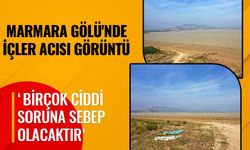 Manisa'nın Doğal Mirası Marmara Gölü Artık Yok