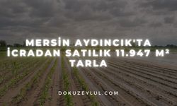 Mersin Aydıncık'ta icradan satılık 11.947 m² tarla