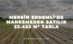 Mersin Erdemli'de mahkemeden satılık 23.423 m² tarla