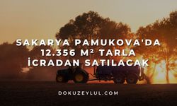 Sakarya Pamukova'da 12356 m² tarla icradan satılacak