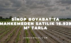 Sinop Boyabat'ta mahkemeden satılık 16.939 m² tarla