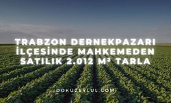 Trabzon Dernekpazarı ilçesinde mahkemeden satılık 2.012 m² tarla