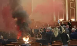 Muhalif milletvekilleri yangın çıkardı