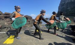 Güney Kore'nin 80 yaş üstü 'deniz kadınları' geçimlerini derin sulara dalarak sağlıyor