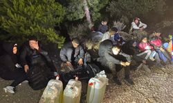 İzmir'de 96 kaçak göçmen yakalandı