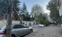Bursa'da lodos; aydınlatma direği ile ağaç, 2 aracın üzerine devrildi