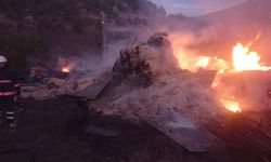 Gümüşhane Torul'da ahır yangını; 9 büyükbaş öldü
