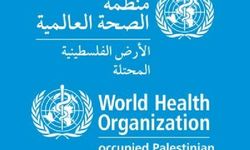 DSÖ Gazze’nin sağlık altyapısı ve hastaların durumunu değerlendirdi