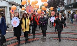 Edirne'de 'şiddetsiz adımlar' yürüyüşü